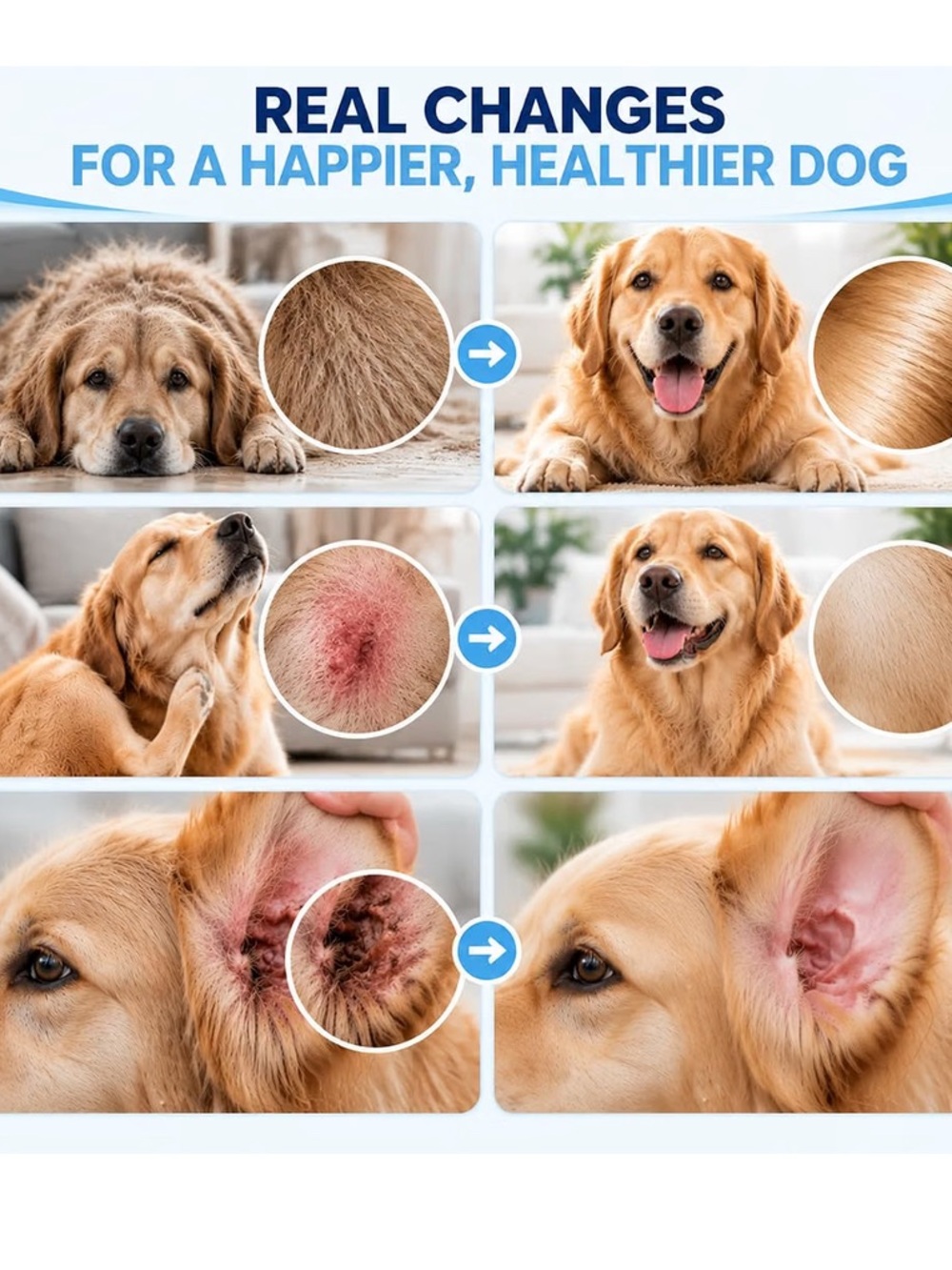 Healthy Petz BUY ONE Get ONE FREE Liquid Collagen for Dogs  💝 - Picture 8 of 12